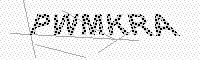 captchaImage