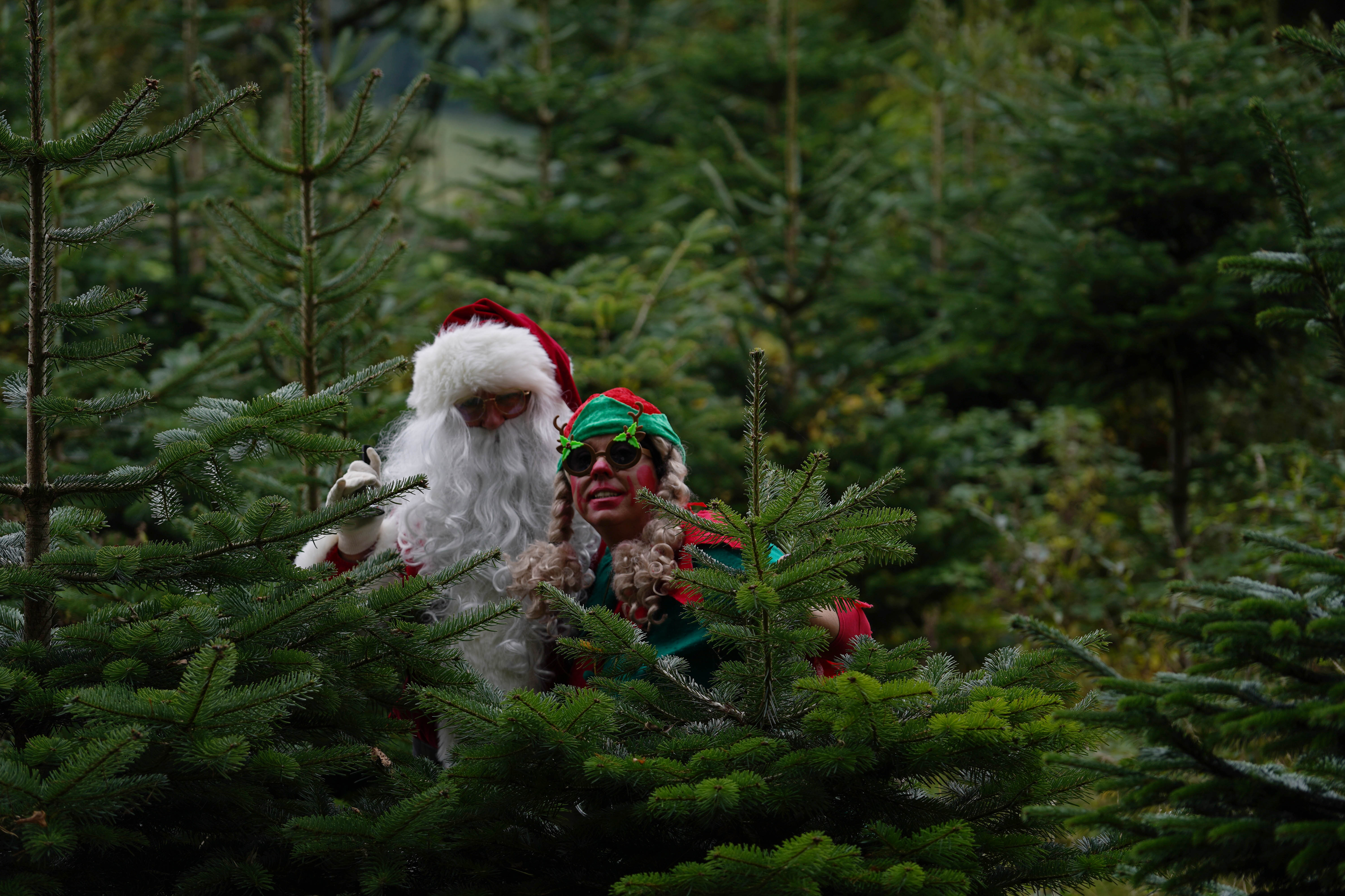 Santa and Wendy Santa and Wendy