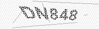 captchaImage