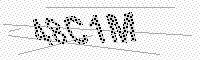 captchaImage