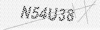 captchaImage
