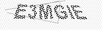 captchaImage