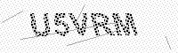 captchaImage