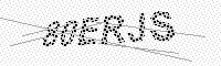 captchaImage