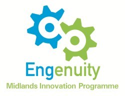 Engenuity Logo Engenuity Logo